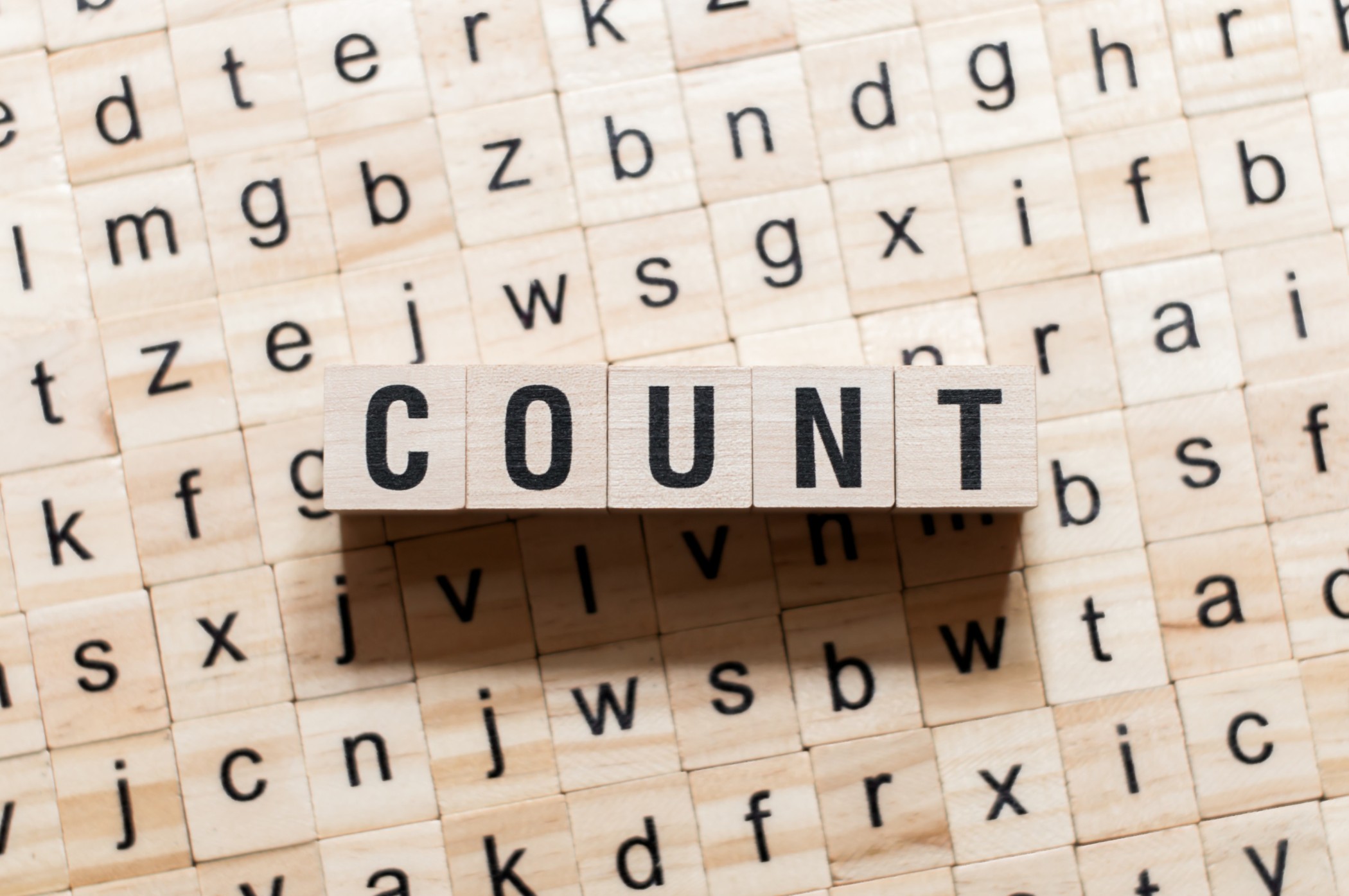 What is a Word Count?